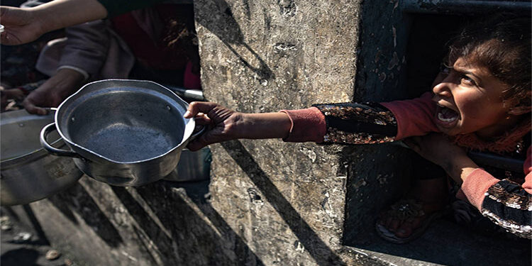 مقرر أممي معني بالحق في الغذاء: إسرائيل تستدرج الفلسطينيين للمساعدات في غزة ثم تقتلهم كالحيوانات