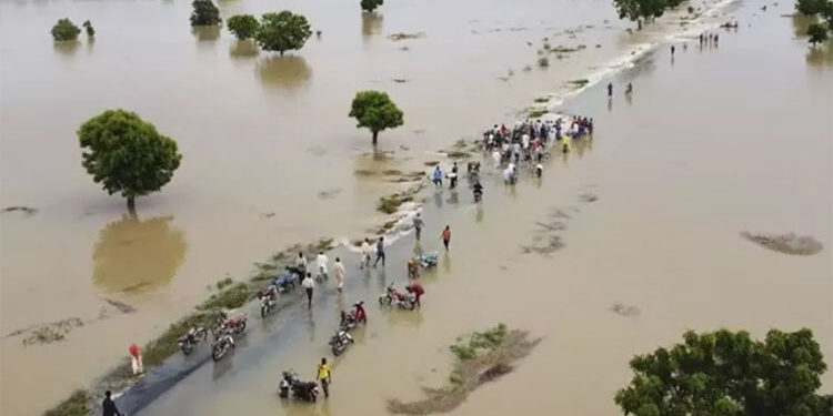 ارتفاع حصيلة ضحايا الفيضانات فى نيجيريا إلى 200 شخص