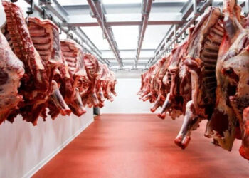 أسعار اللحوم الحمراء اليوم الأربعاء