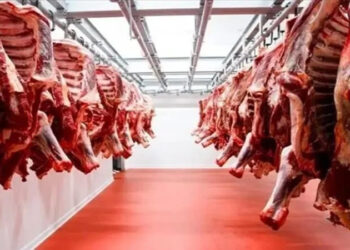 أسعار اللحوم الحمراء اليوم الإثنين
