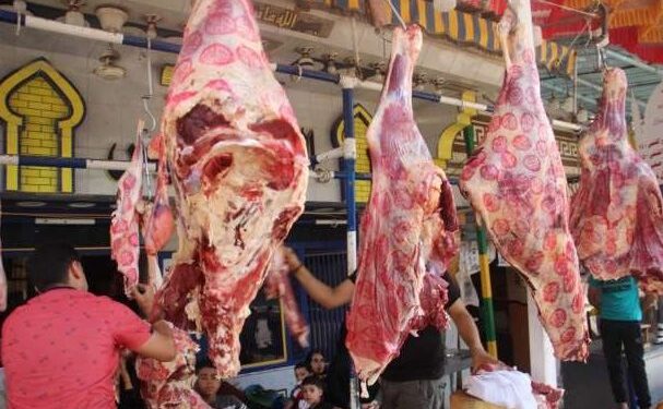 أسعار اللحوم الحمراء اليوم الخميس