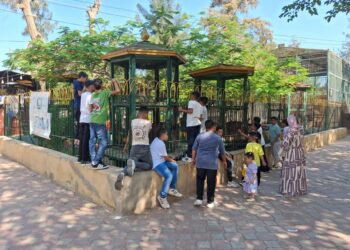 “الزراعة”: حدائق الحيوان الإقليمية والأسماك بالزمالك استقبلت  38 ألف زائر