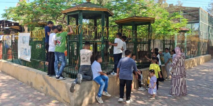 “الزراعة”: حدائق الحيوان الإقليمية والأسماك بالزمالك استقبلت  38 ألف زائر