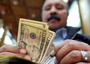 قفزة تاريخية في تحويلات المصـريين العاملين بالخارج