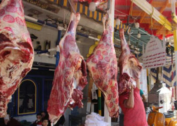 أسعار اللحوم الحمراء اليوم الخميس