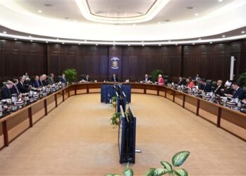 مجلس الوزراء يوافق على مشروع القرار المقدم من الجهاز المركزي للتنظيم والإدارة لترقية العاملين بالجهاز الإداري للدولة