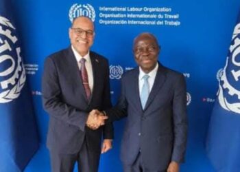 وزير العمل يلتقى مدير عام منظمة العمل الدولية