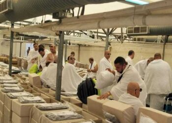 بدء تصعيد حجاج السياحة إلى عرفات لأداء الركن الأعظم من الحج