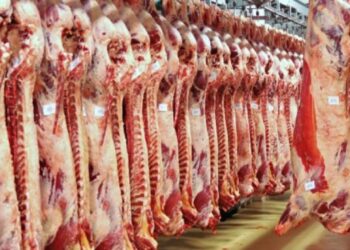 أسعار اللحوم الحمراء اليوم الجمعة