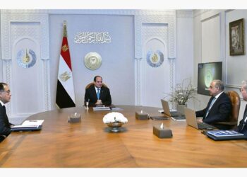 الرئيس السيسي يجتمع مع رئيس الوزراء ووزير الكهرباء