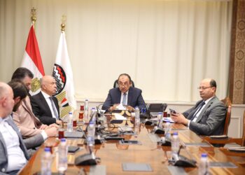 وزير قطاع الأعمال العام يلتقي وفدًا من “باور إنترناشيونال القابضة” لبحث فرص التعاون والشراكة الاستثمارية