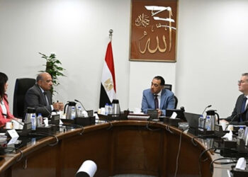 رئيس الوزراء يتابع عددا من الملفات مع وزيري الكهرباء والبترول