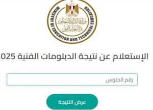نتيجة الدبلومات