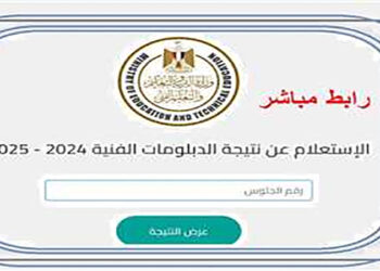 رابط نتيجة الدبلومات الفنية 2025 دور أول