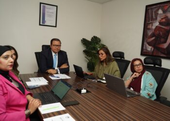 الاعتماد والرقابة: التجربة المصرية الرائدة في جودة الرعاية ترتكز على الشراكات الاستراتيجية