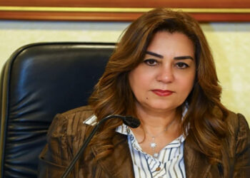 وزيرة التنمية المحلية تتلقى تقريرًا حول آخر مستجدات ملف المخططات التفصيلية والاستراتيجية بالمحافظات