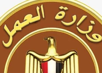 وزارة العمل تعلن عن وظائف جديدة بشركة كهرباء بمرتبات تصل إلى 13 ألف جنيه