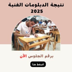 نتيجة الدبلومات