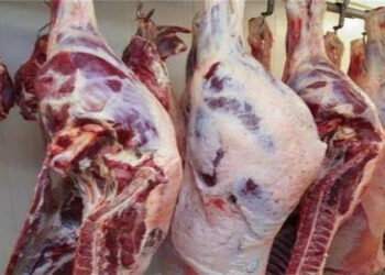 أسعار اللحوم الحمراء اليوم الاربعاء