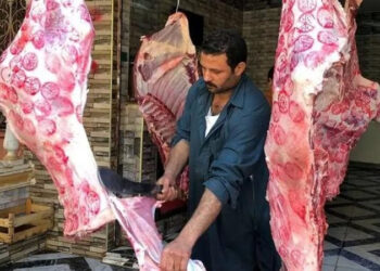 أسعار اللحوم الحمراء اليوم الثلاثاء