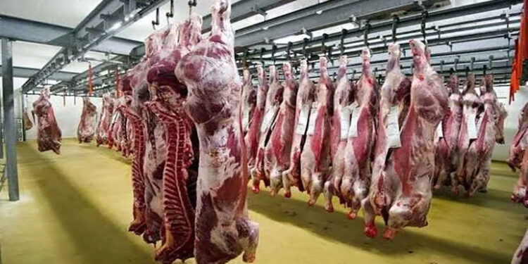 أسعار اللحوم الحمراء اليوم الأحد