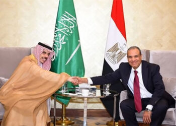 وزير الخارجية والهجرة يستقبل نظيره السعودي بمدينة العلمين