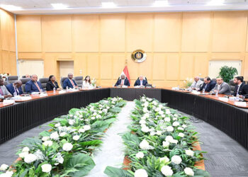 وزير الصناعة والنقل يعقد جلسة مباحثات هامة مع نائب رئيس مجلس الوزراء بالكونغو الديمقراطية