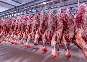 أسعار اللحوم الحمراء اليوم الأحد