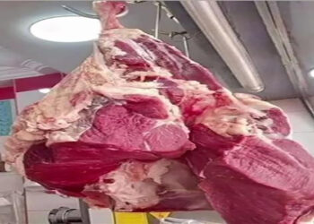 أسعار اللحوم الحمراء اليوم الاربعاء