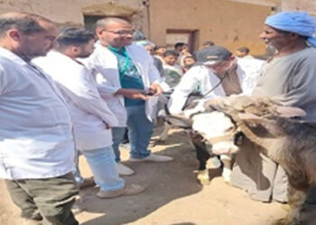 “الزراعة” تطلق 214 قافلة بيطرية مجانية في 176 قرية خلال يونيو الماضي