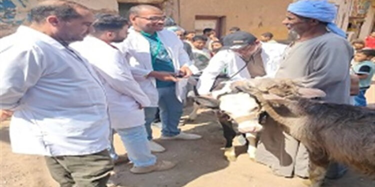 “الزراعة” تطلق 214 قافلة بيطرية مجانية في 176 قرية خلال يونيو الماضي