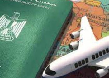 تصل لـ 250 ألف جنيه.. تطوير وثيقة التأمين للمصريين بالخارج لتشمل جميع الفئات
