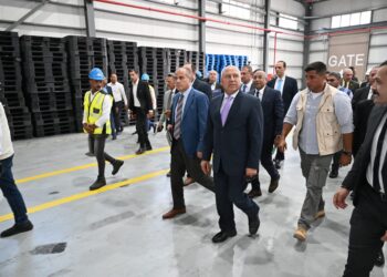 وزير الصناعة يجري جولة تفقدية موسعة بمشروعات مينائي الإسكندرية والدخيلة