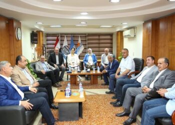 وزير قطاع الأعمال ومحافظ الإسكندرية يبدأن جولة تفقدية بمنطقة المعمورة بلقاء عدد من نواب البرلمان