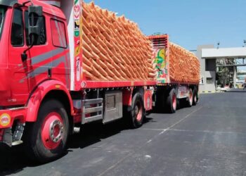 “الزراعة” تعلن مواصلة توزيع الأسمدة المدعمة للفلاحين