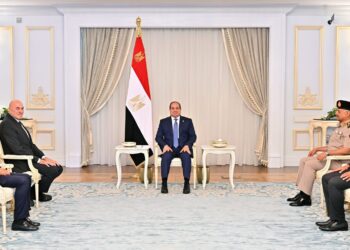 الرئيس السيسى يبحث مع وزير دفاع إيطاليا تطورات الأوضاع فى الأراضى الفلسطينية