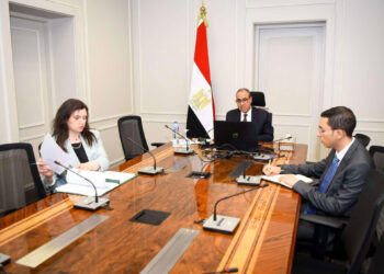 وزير الخارجية والهجرة يشارك في اللقاء الافتراضي مع الجالية المصرية في واشنطن ونيويورك