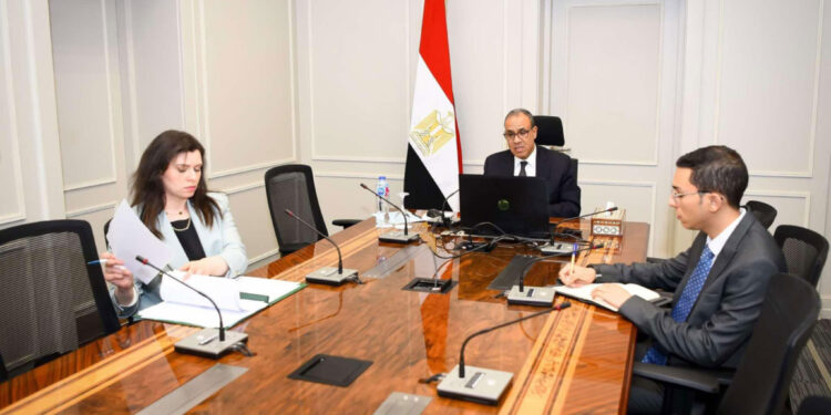 وزير الخارجية والهجرة يشارك في اللقاء الافتراضي مع الجالية المصرية في واشنطن ونيويورك