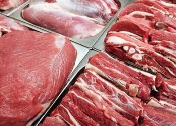 أسعار اللحوم الحمراء اليوم الاربعاء
