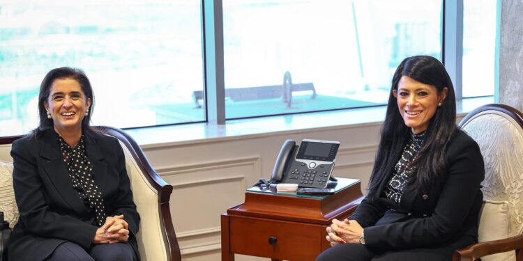 المشاط تبحث مع المدير الإقليمي لشرق المتوسط تعزيز سياسات الصحة في خطة التنمية متوسطة المدى