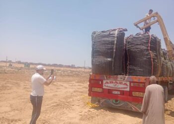 “الزراعة” تواصل متابعة أعمال حصاد البطاطس في المناطق الخالية من العفن البني