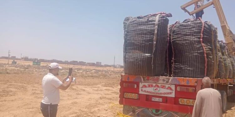 “الزراعة” تواصل متابعة أعمال حصاد البطاطس في المناطق الخالية من العفن البني