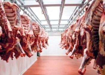 أسعار اللحوم الحمراء اليوم الخميس