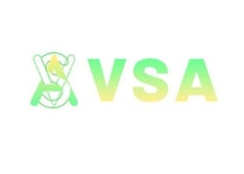 في قبضة الأمن…عمليات نصب منصة VSA تصل لـ 3 مليارات جنيه