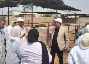الزراعة تكشف تفاصيل قصة نجاح الوزارة في حماية الثروة الحيوانية من العترة الجديدة لفيروس الحمي القلاعية