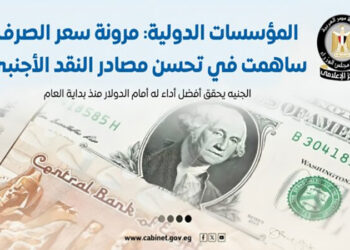 مجلس الوزراء: الجنيه يحقق أفضل أداء له أمام الدولار منذ بداية العام