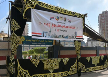 انطلاق تصويت المصريين بالداخل في انتخابات مجلس الشيوخ