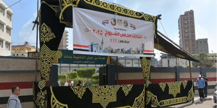 انطلاق تصويت المصريين بالداخل في انتخابات مجلس الشيوخ