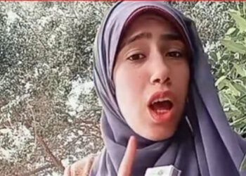 القبض على التيك توكر “علياء قمرون” بتهمة نشر محتوى خادش للحياء