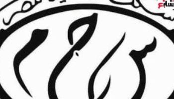 السكة الحديد تكشف تفاصيل واقعة ادعاء راكب منعه استقلال قطار مرتديا شورت